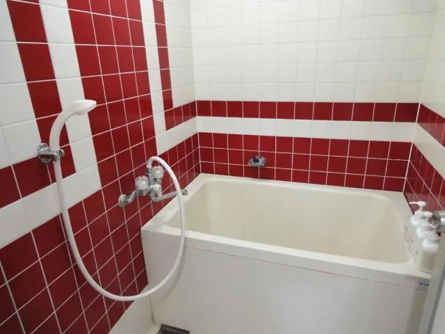 Soho Asakusa Hotel Tokyo 2*,